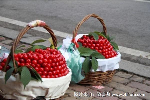 樱桃价格多少钱一斤