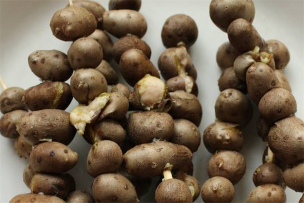 山药豆价格多少钱一斤