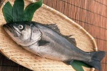 加州鲈鱼市场价格多少钱一斤,加州鲈鱼是海