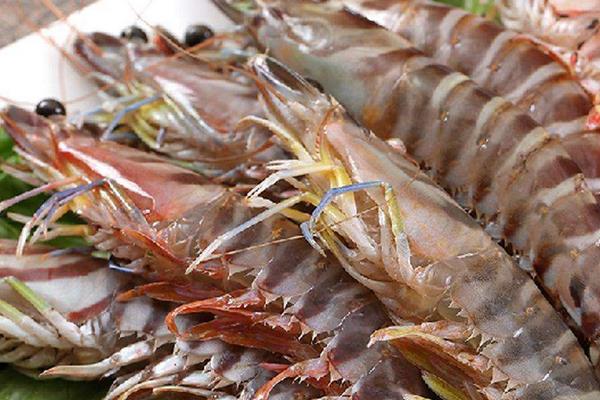 老虎虾和九节虾的区别是什么 老虎虾和九节虾哪个贵