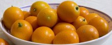 金钱橘市场价格多少钱一斤,金钱橘产地在哪