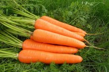 胡萝卜的营养价值,吃胡萝卜补充什么维生素