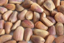 松树籽的作用与功效及禁忌,松树籽的药用价