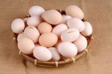 散养鸡蛋市场价格多少钱一斤,散养鸡吃什么
