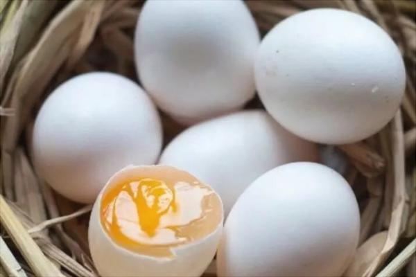 鹧鸪蛋的营养价值与功效作用