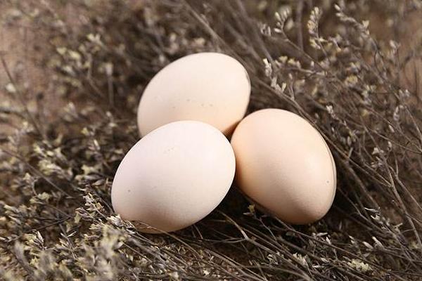 藏鸡蛋多少钱一斤