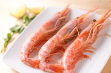 阿根廷红虾市场价格多少钱一斤,阿根廷红虾