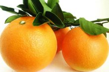 纽荷尔脐橙市场价格多少钱一斤,纽荷尔脐橙