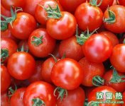 ,2016种西红柿赚钱吗?2016西红柿种植前景及