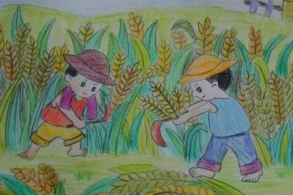 梦见收麦子是什么意思 梦到割麦子有什么预兆