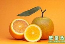 柑橘汁加工的实用技术