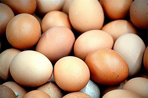 人造鸡蛋是怎么做的
