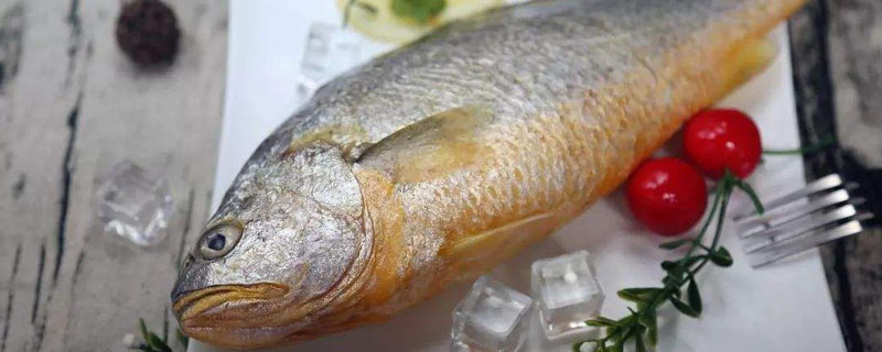 市场上的黄花鱼是养殖的还是野生的