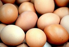 鸡蛋价格大幅回落,多少钱一斤？未来行情走势