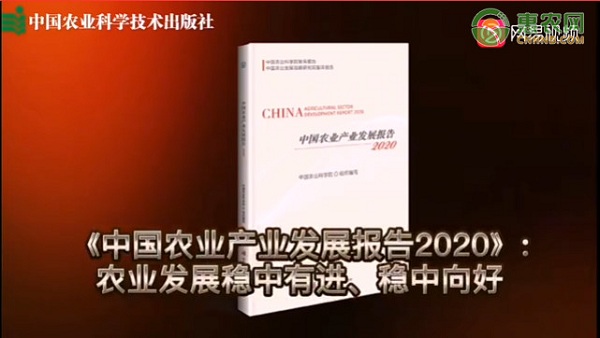 社科院发布《中国农村发展报告2020》