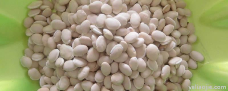 白扁豆一次最多吃几粒，有多少个品种
