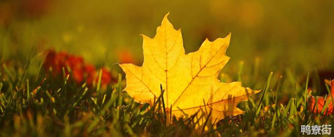 描写秋天天气的词语有哪些？