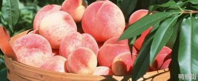 吃桃子的好处和坏处？