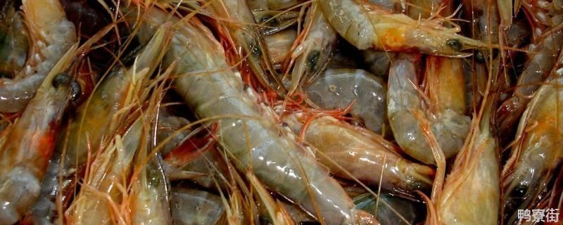青虾养殖需要什么条件，青虾和红虾有哪些区别