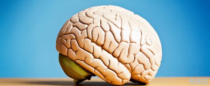 最损害大脑的6个行为是什么？