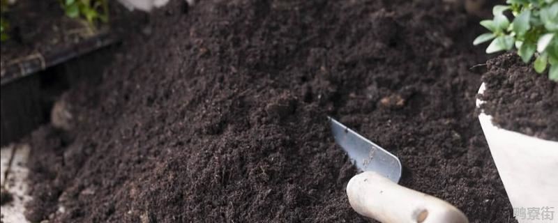 草木灰可以杀死土里病虫害吗，草木灰是酸性的还是碱性的